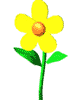 ດອກ​ໄມ້ ຮູບພາບເຄື່ອນໄຫວ-gif